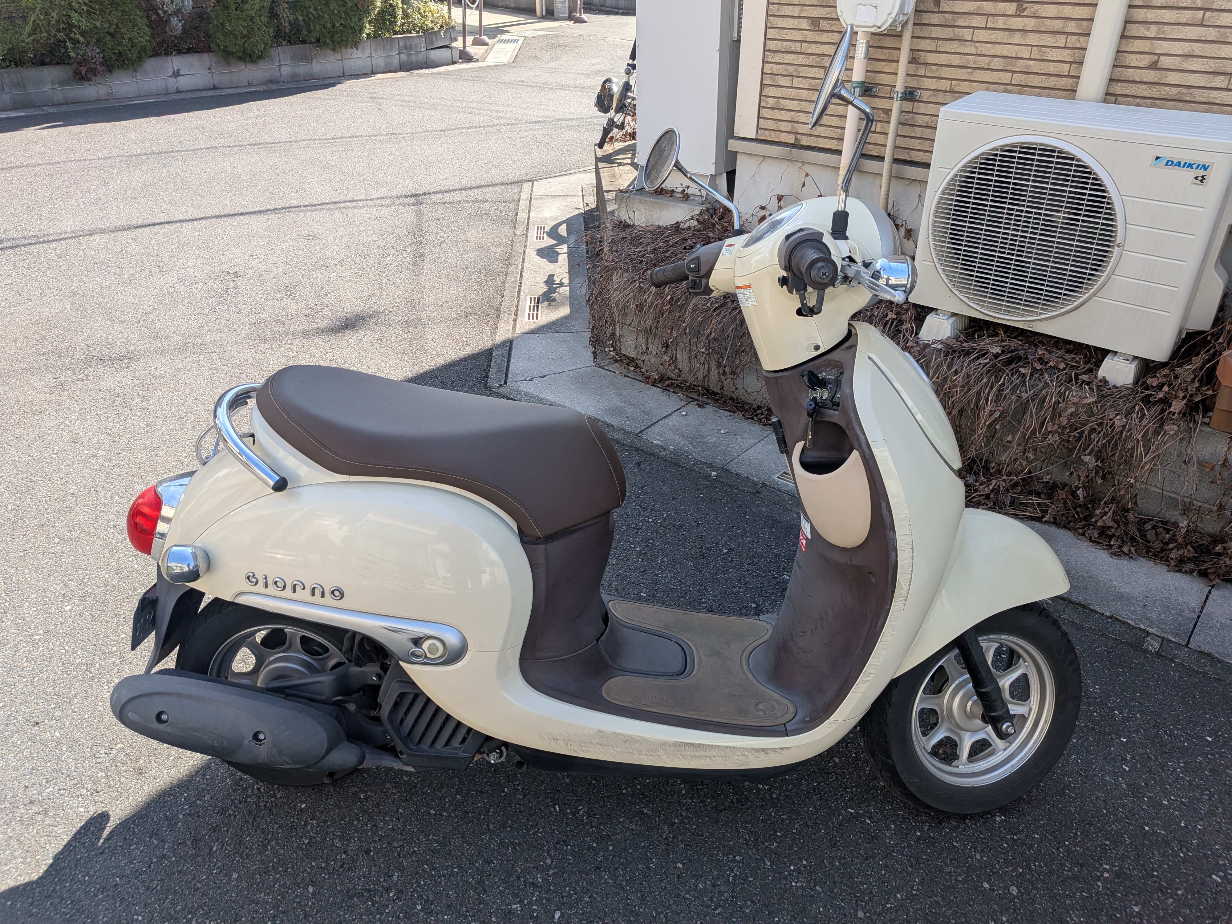 PXL_20260228_025442628